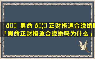 🐠 男命 🦋 正财格适合晚婚吗「男命正财格适合晚婚吗为什么」